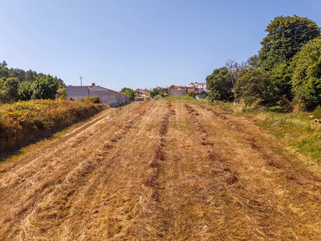 Quinta com mais de 23.000 m², piscina de água salgada e potencial de construção