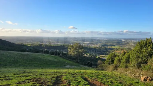 Unique plot with approved PIP in Serra de Montejunto - 22.000 m²
