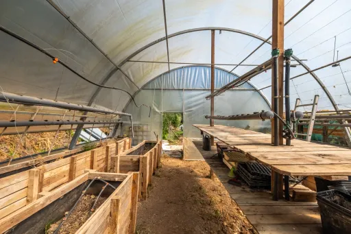 Terreno Agrícola na Fanadia | 16.100 m² de Potencial e Infraestruturas Preparadas