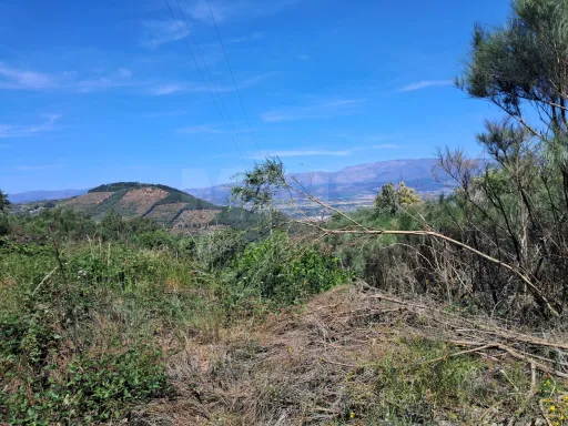 Terreno Misto com Ruína - Alcongosta, Fundão, Portugal