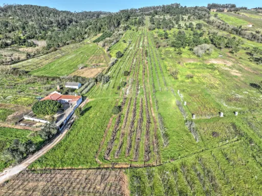 Terreno c/ Projecto Aprovado p/ Moradia T3 c/ 3 Suites, Parqueamento, Jardim e Piscina!