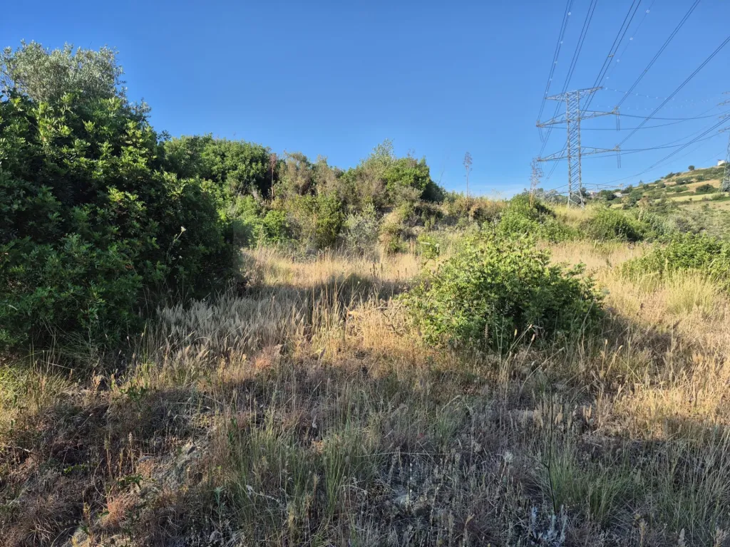 14,680 m² of rural land in S. João dos Montes - Alhandra