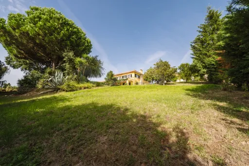 Propriedade única, a apenas 2 km de Alcobaça, com mais de 30.000 m² de terreno