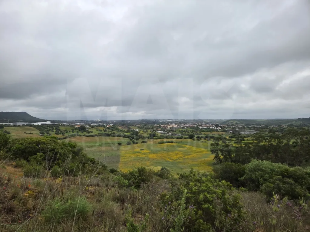 Terreno Rustico CHÃ Alcanena