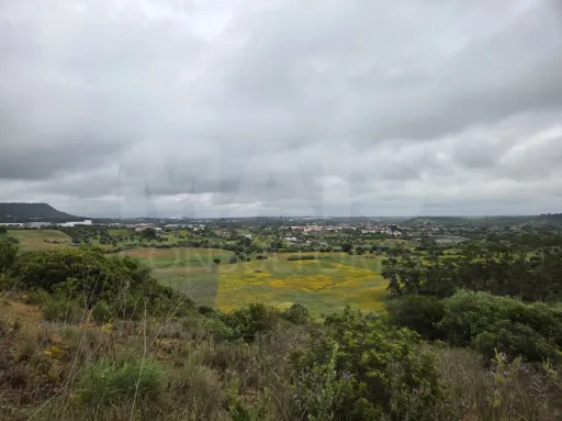 Terreno Rustico CHÃ Alcanena