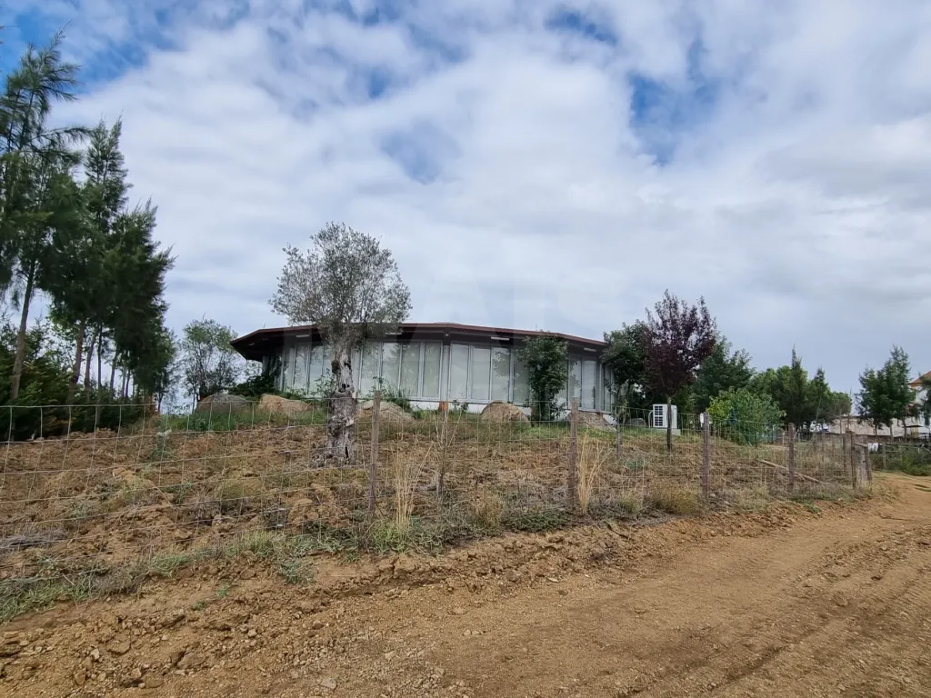 QUINTA, em  Casas Novas  - MOURISCAS -ABRANTES