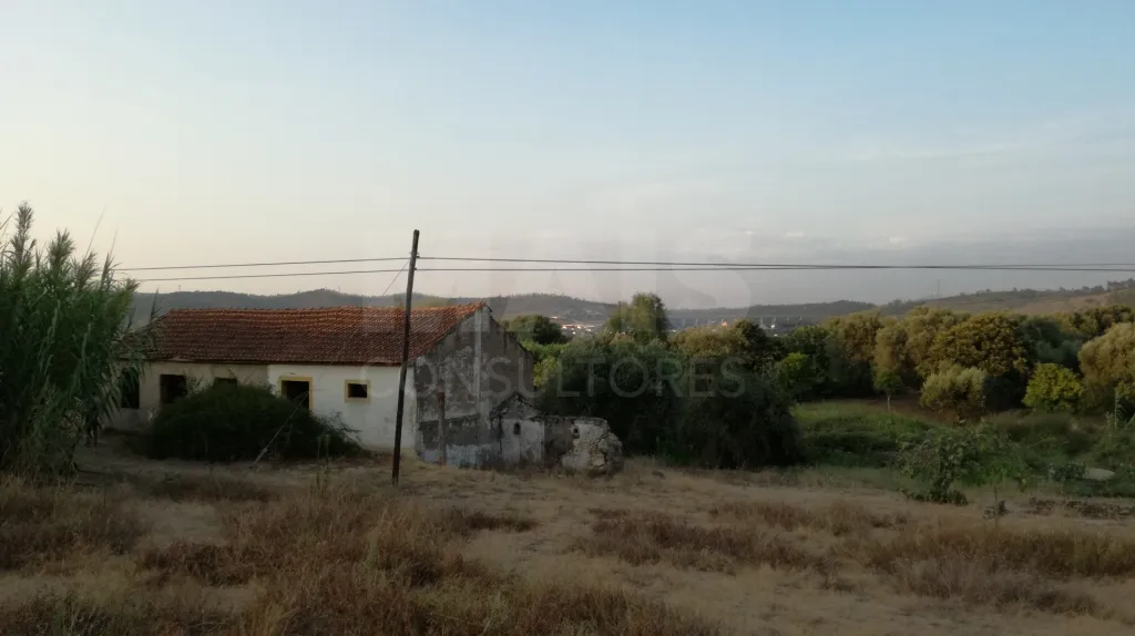 Quinta com moradia para recuperar na zona de Abrantes