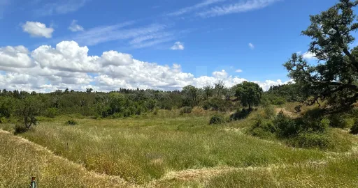 Herdade com 11,6 hectares em São Bartolomeu da Serra, Santiago do Cacém