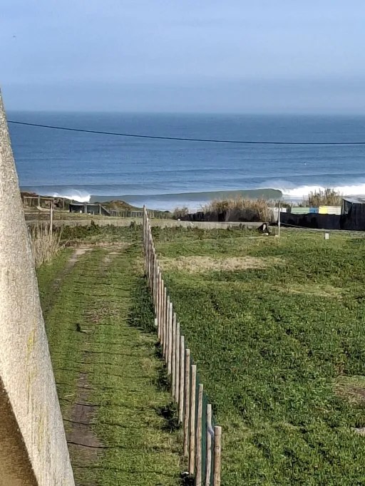 Unit with Industrial License + Preliminary Project for Accommodation | 3.106 m² | Ferrel