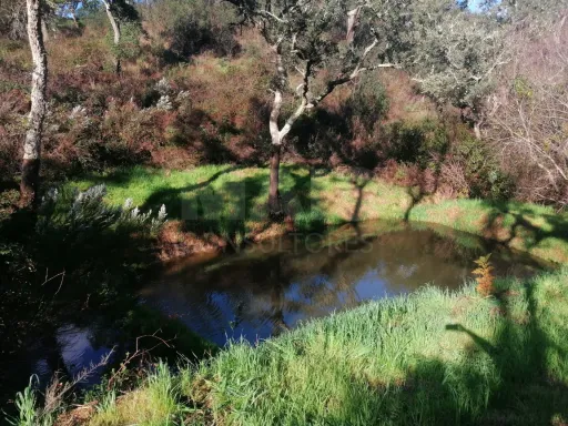Herdade  com 40,85 hectares em São Bartolomeu da Serra, Santiago do Cacém