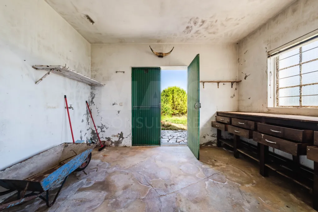 Moradia Isolada com Terreno de 9.840 m² em Barreiras – Cadaval