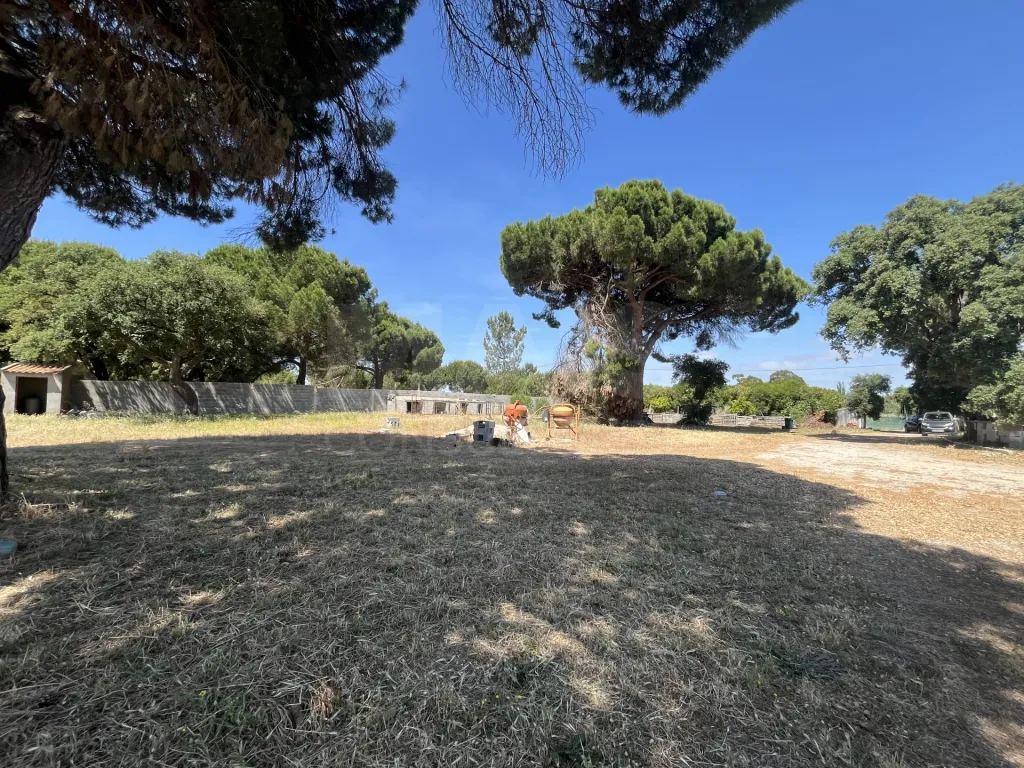 Land in Arados, Samora Correia
