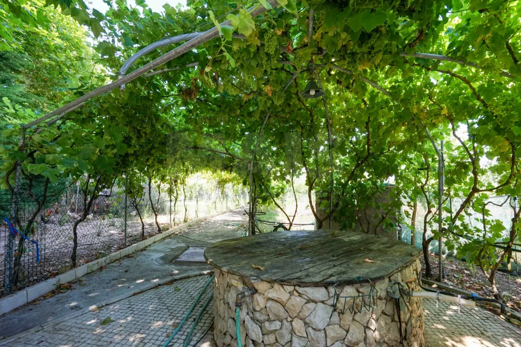 Quinta com moradia térrea em Torres Vedras
