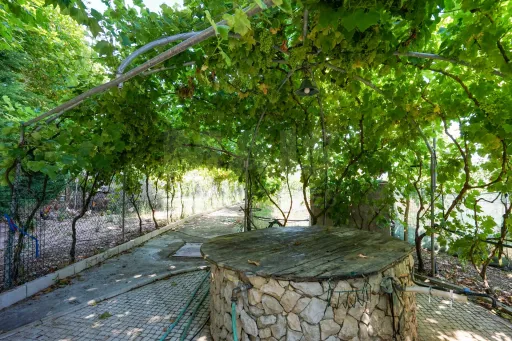 Quinta com moradia térrea em Torres Vedras