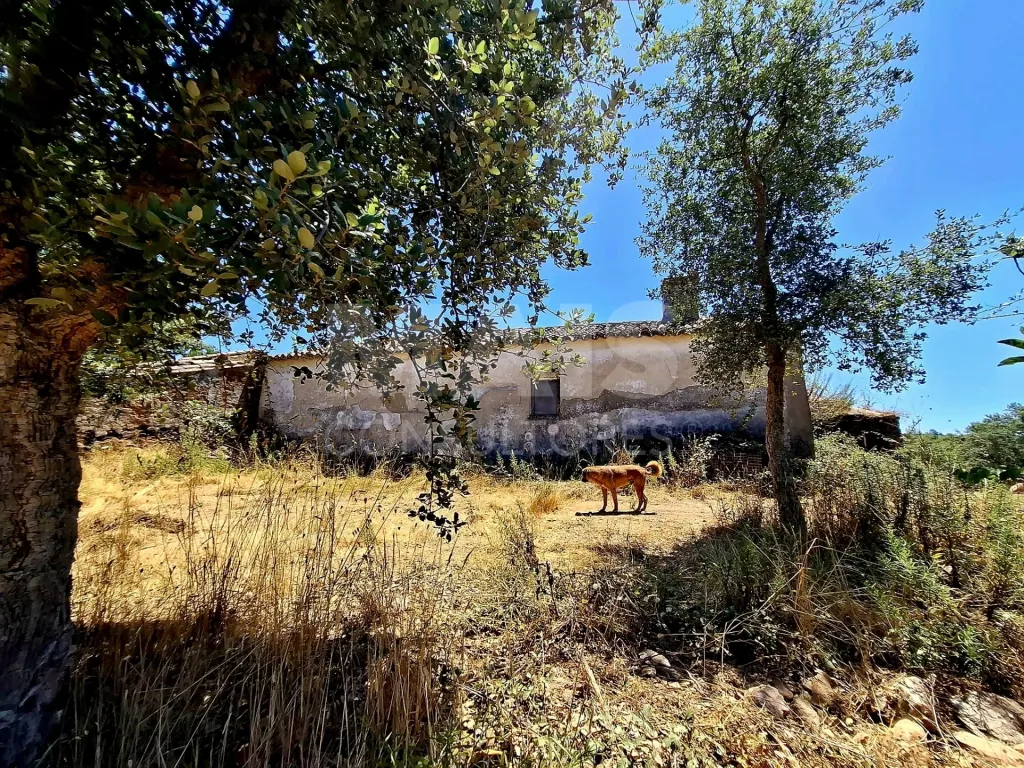 Herdade com 73,7 h em Relíquias, Odemira