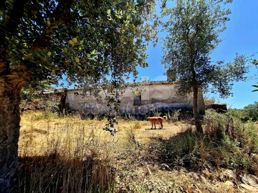 Herdade com 73,7 h em Relíquias, Odemira