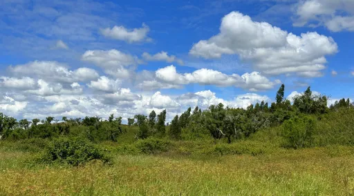 Herdade com 11,6 hectares em São Bartolomeu da Serra, Santiago do Cacém