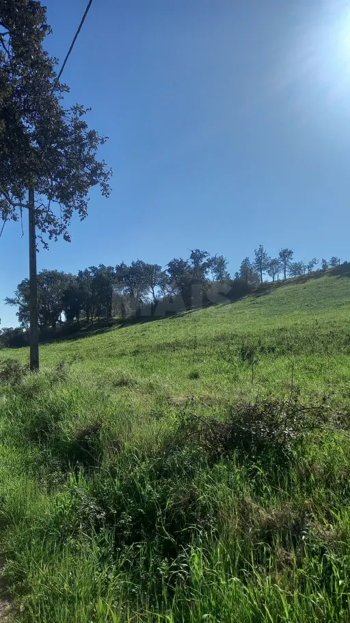 Herdade de 30 hectares em Cercal do Alentejo, Santiago do Cacém, Setúbal