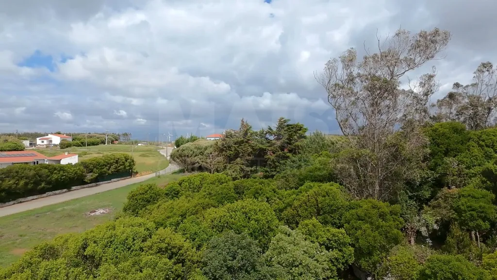 Terreno com 2 280m² em Cezaredas – Oportunidade Única!