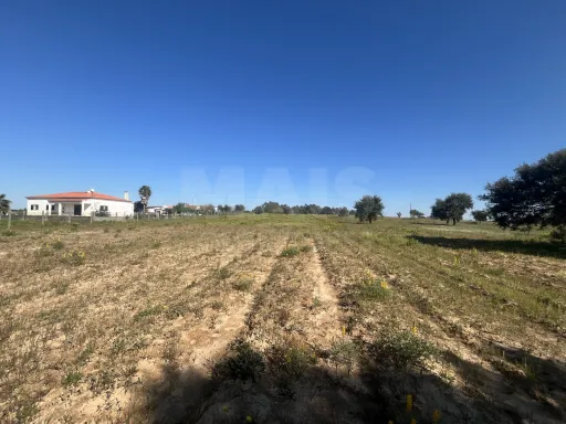 Terreno 12000 m2 em Foros da Charneca