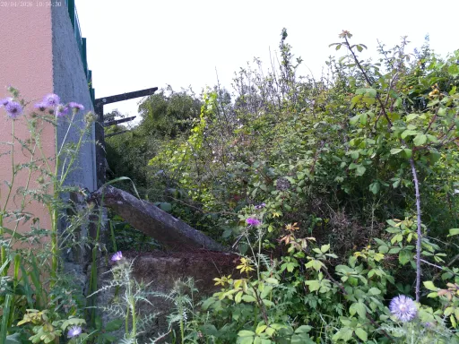 Terreno Rústico (Avos), Quinta da Oliva - Charneca da Caparica