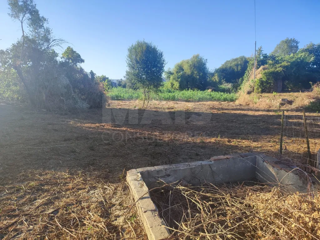 Quinta com moradia para recuperar na zona de Abrantes