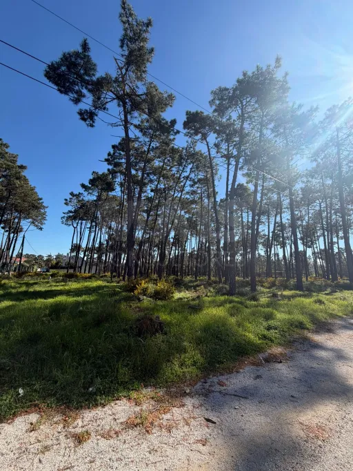 Terreno 5.000 m² na Aroeira | Excelente Oportunidade de Investimento