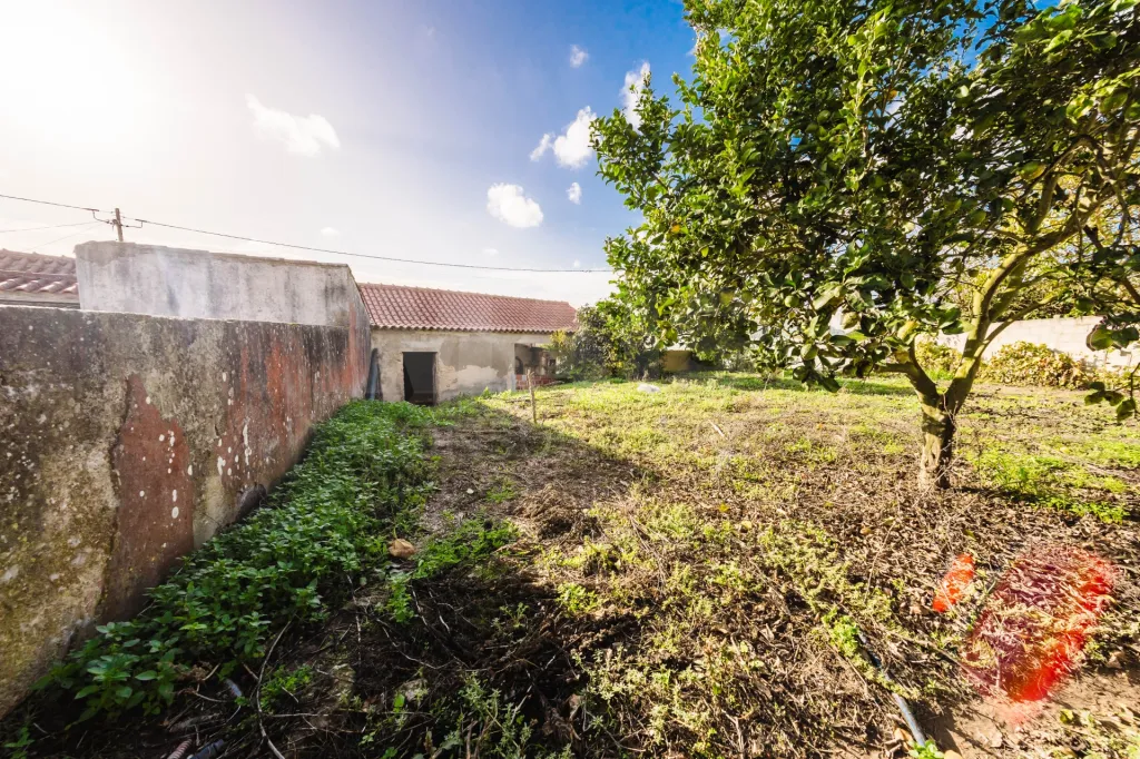 Quinta com duas moradias em ruína, poço e anexo com T0!
