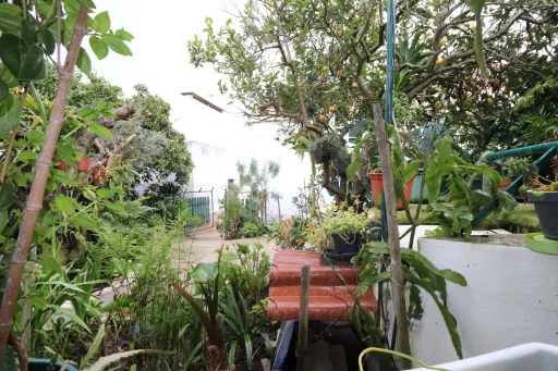 Moradia Térrea T2+1 com Garagem, sótão e terreno com 500 m2 em Vale Mansos, Coruche
