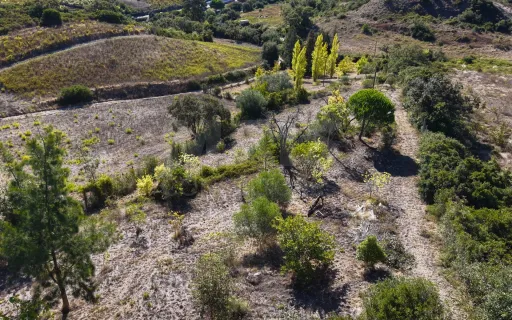 Quintinha com moradia T3 Térrea a 10 minutos de Arruda dos Vinhos