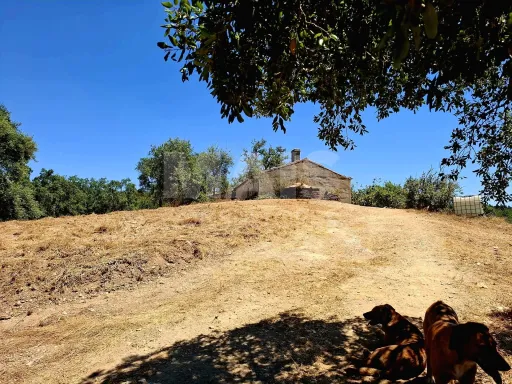 73.7 hectare estate for construction in Relíquias, Odemira
