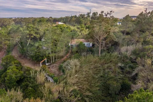 Refúgio Exclusivo na Foz do Arelho: Uma Oportunidade Única de Preservação e Natureza