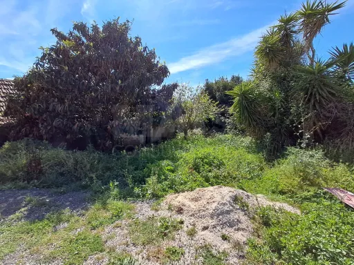 Moradia para remodelar em lote de terreno c/ 520m2