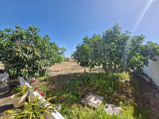 Quintinha com Moradia T2, Anexo/Armazém e Terreno de 1.247 m² em Foros de Salvaterra