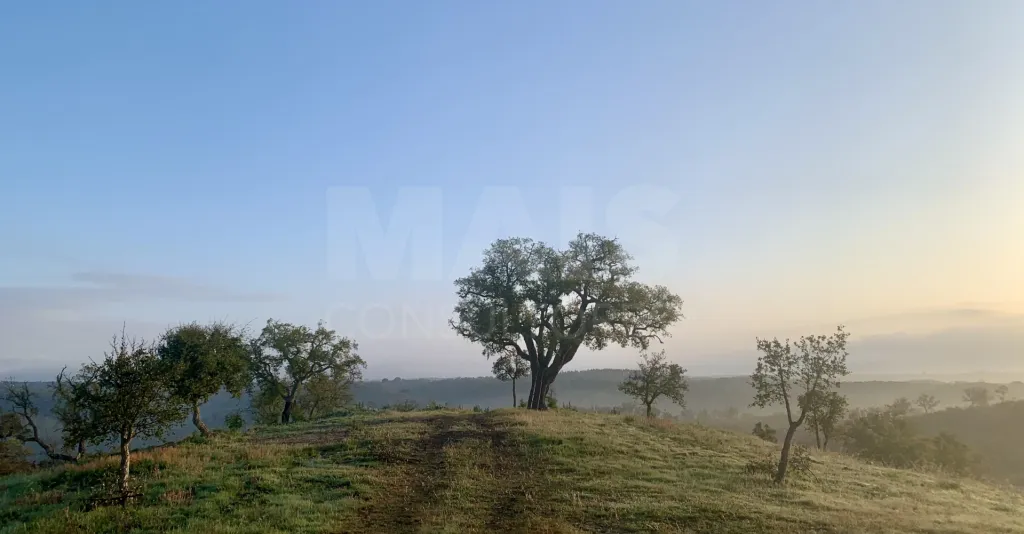 Herdade com 52,45 hectares em São Bartolomeu da Serra, Santiago do Cacém