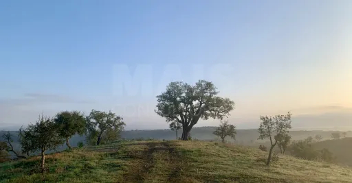 Herdade  com 40,85 hectares em São Bartolomeu da Serra, Santiago do Cacém