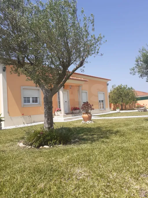 Moradia T3 Térrea com jardim e árvores de fruto