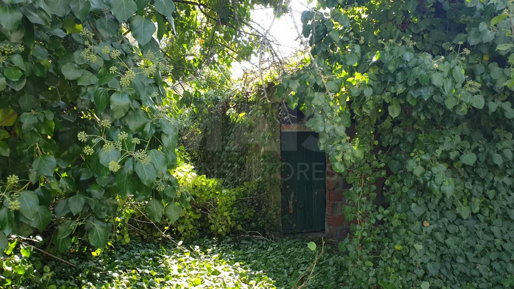 Terreno Misto com Ruina em TORRES NOVAS