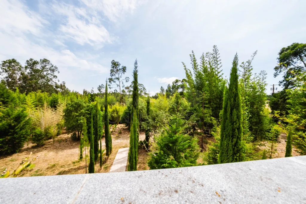 A 19,523 m² lot with enormous potential
