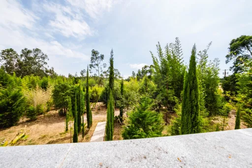 Terreno com 19523m2 com enorme potencial