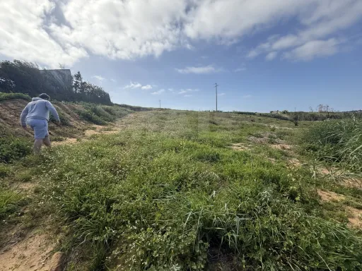 Terreno Rústico Exclusivo com Vista Mar | Natureza e Lifestyle Próximo das Praias de Peniche
