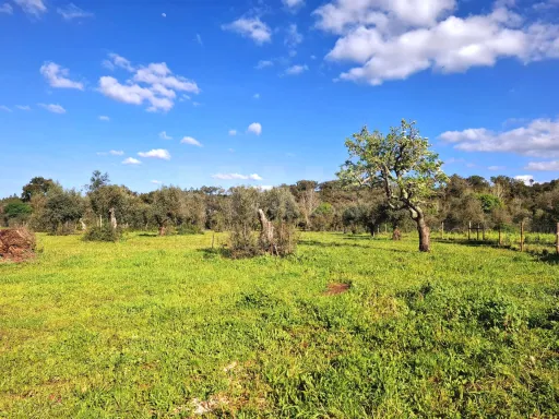 Quinta T4 com 9 mil m2 em Santiago do Cacém, Cercal do Alentejo