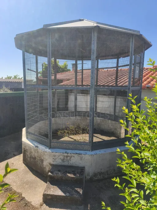 Propriedade com Piscina e Instalações Equestres – Um Refúgio Tranquilo com Potencial de Expansão