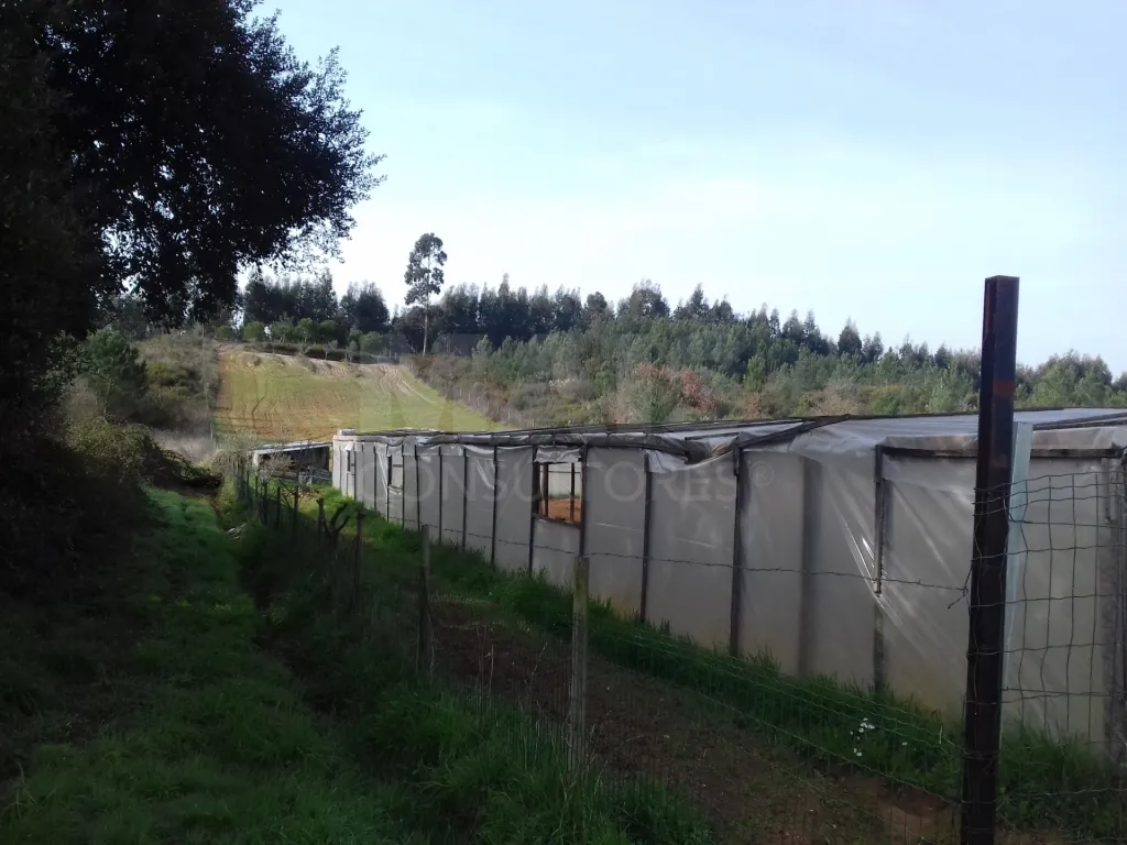 Terreno Agrícola ideal para Agri. Biológica