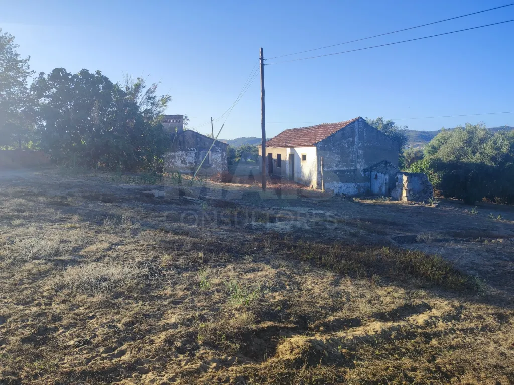 Quinta com moradia para recuperar na zona de Abrantes