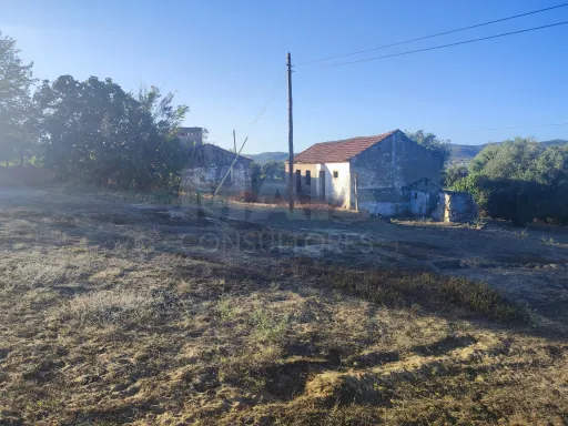 Quinta com moradia para recuperar na zona de Abrantes