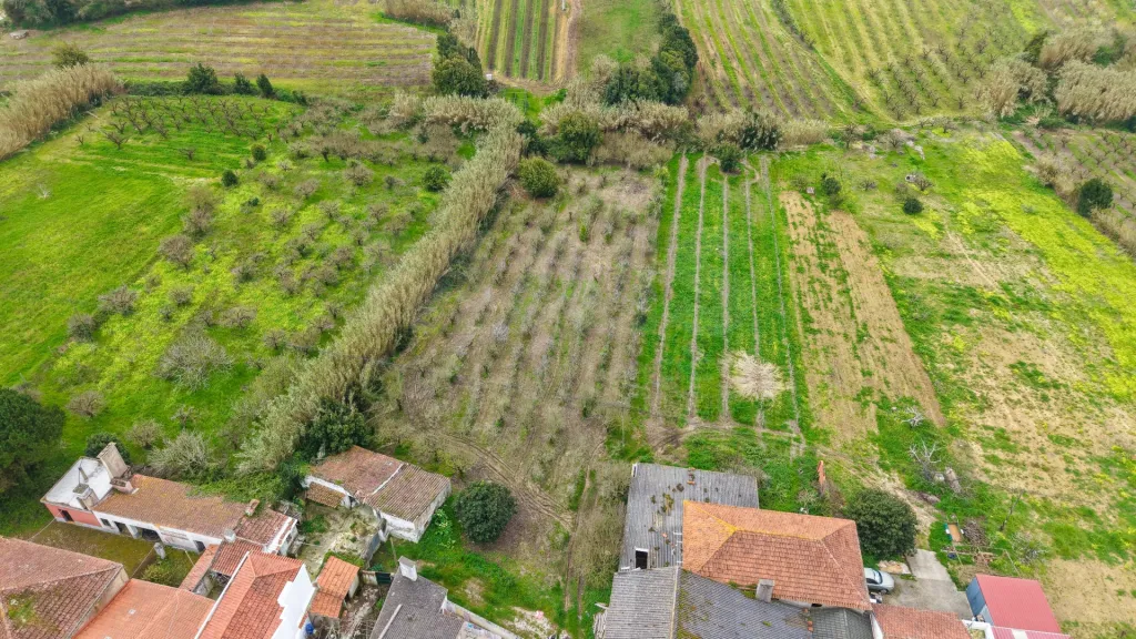 Terreno no centro da Usseira