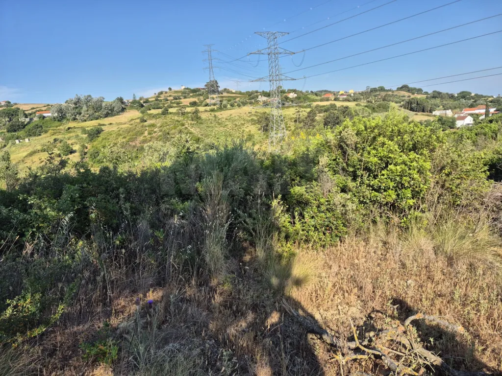 14,680 m² of rural land in S. João dos Montes - Alhandra