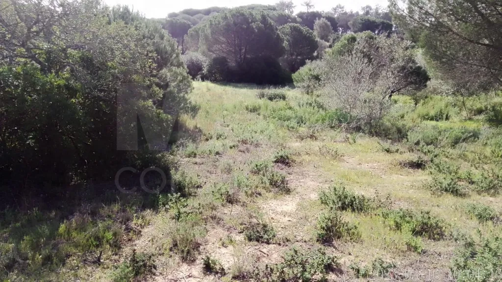 Lote de Terreno Rustico