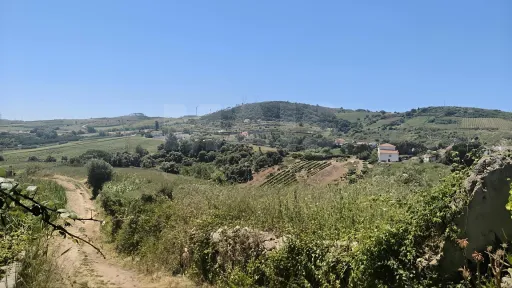Terreno p/ Construção c/ 2.299m2 & Proj. Aprovado p/ Moradia T3 Térrea!